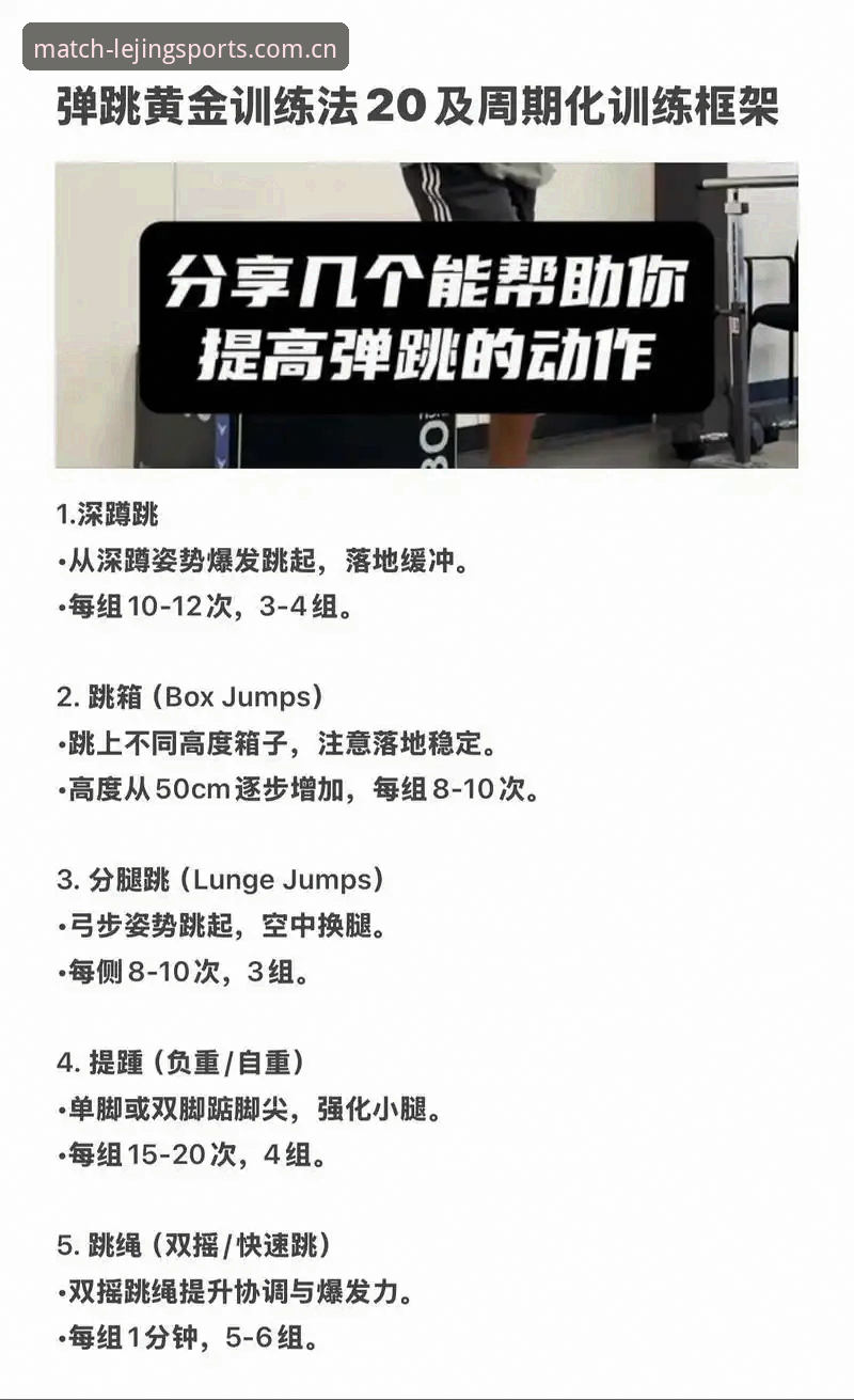 LEJING官网教程：乐竞体育平台实用操作指南与必备知识